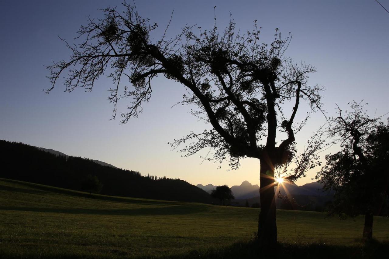 Ferienwohnung Pyhrgasblick Rosenau am Hengstpass Exteriör bild