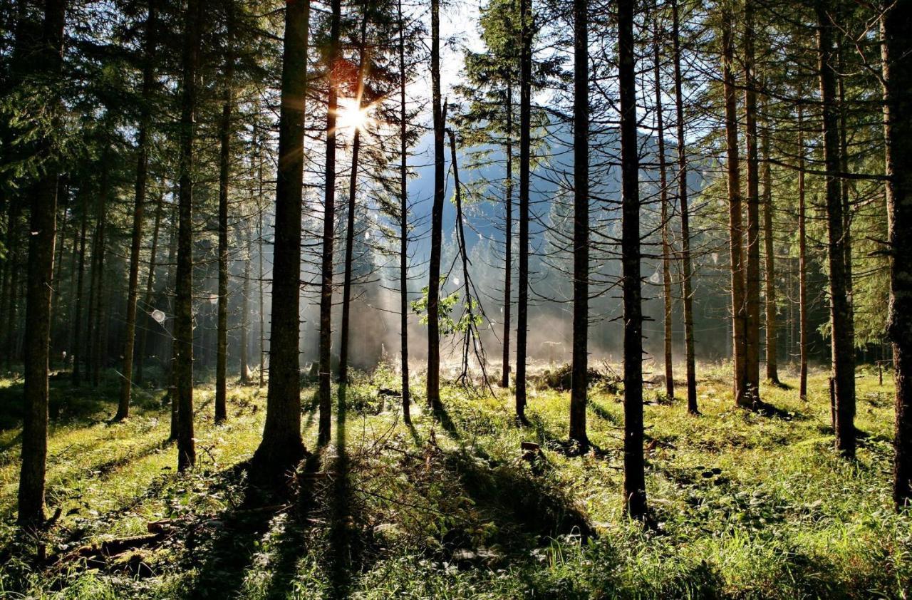 Ferienwohnung Pyhrgasblick Rosenau am Hengstpass Exteriör bild