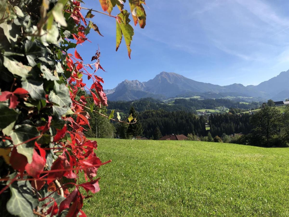 Ferienwohnung Pyhrgasblick Rosenau am Hengstpass Exteriör bild