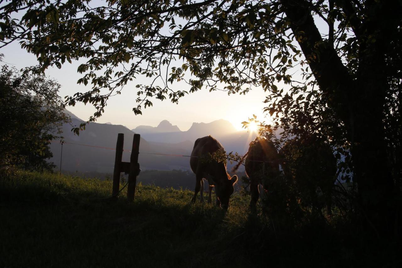 Ferienwohnung Pyhrgasblick Rosenau am Hengstpass Exteriör bild